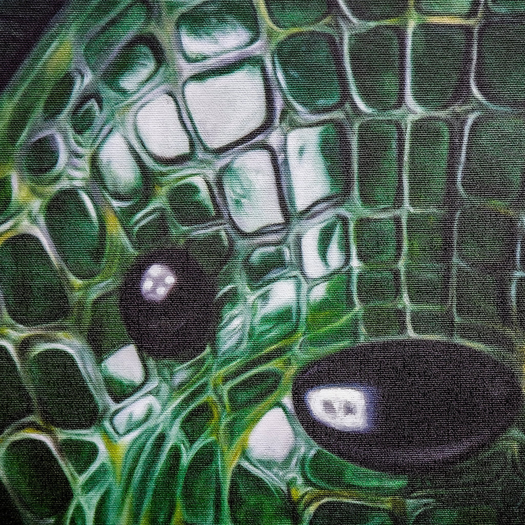 Thick Skin Print - VEFA Gallery