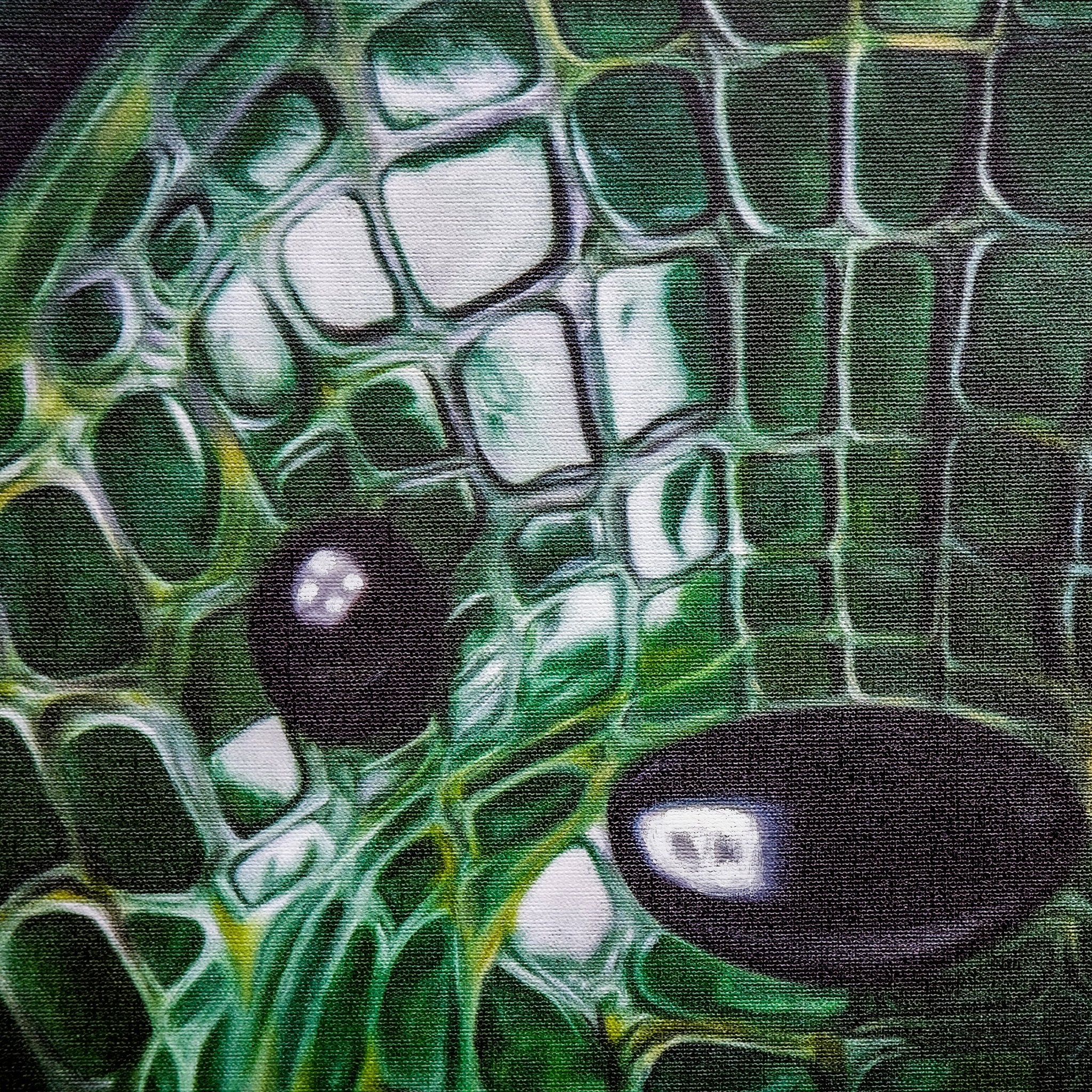 Thick Skin Print - VEFA Gallery