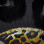 Wild Comfort Print - VEFA Gallery