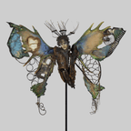 Metamorphosis - VEFA Gallery