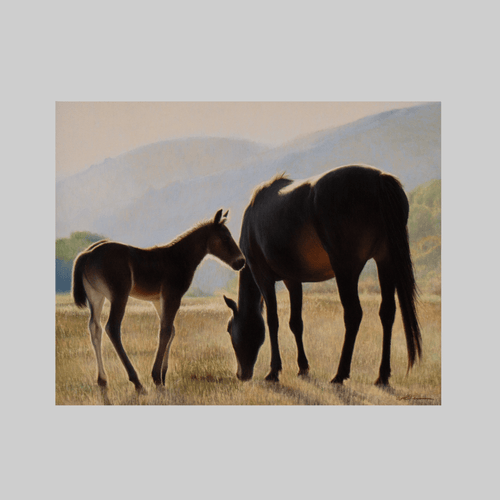 Original Morgans Morning by Otto Stürcke: group of dark horses in a sunlit pasture.