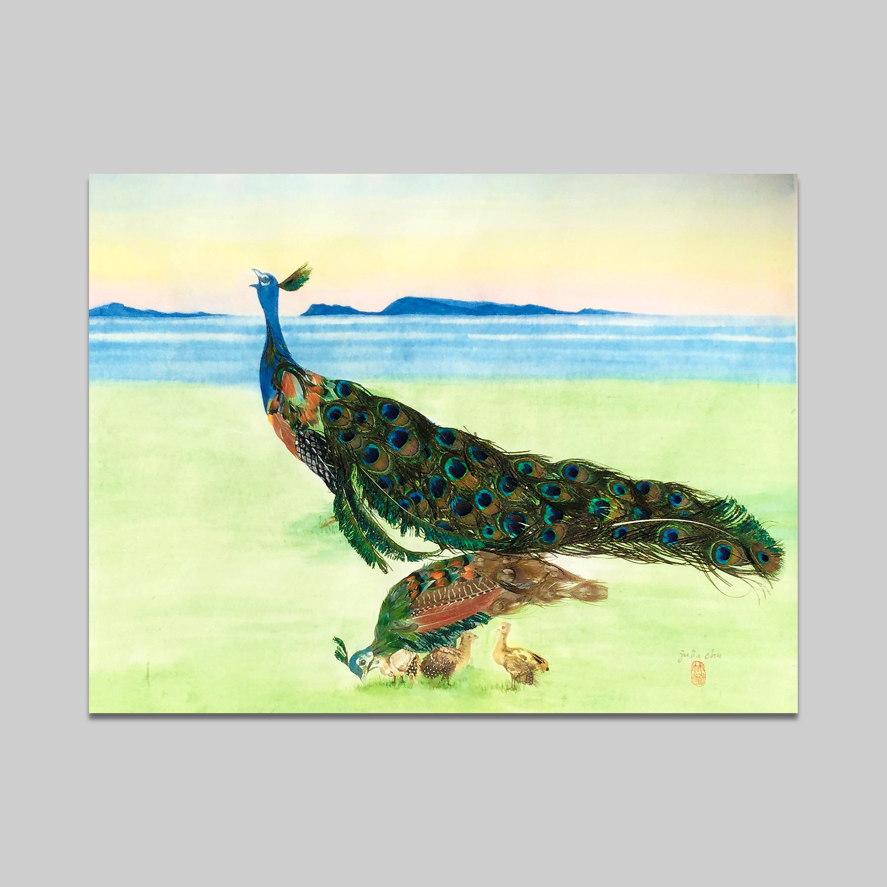 Peacock Family