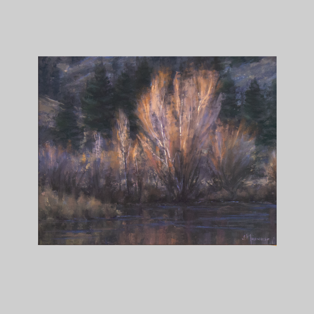 The Last Light At the Pond
