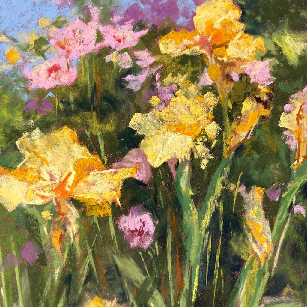Radiant - VEFA Gallery