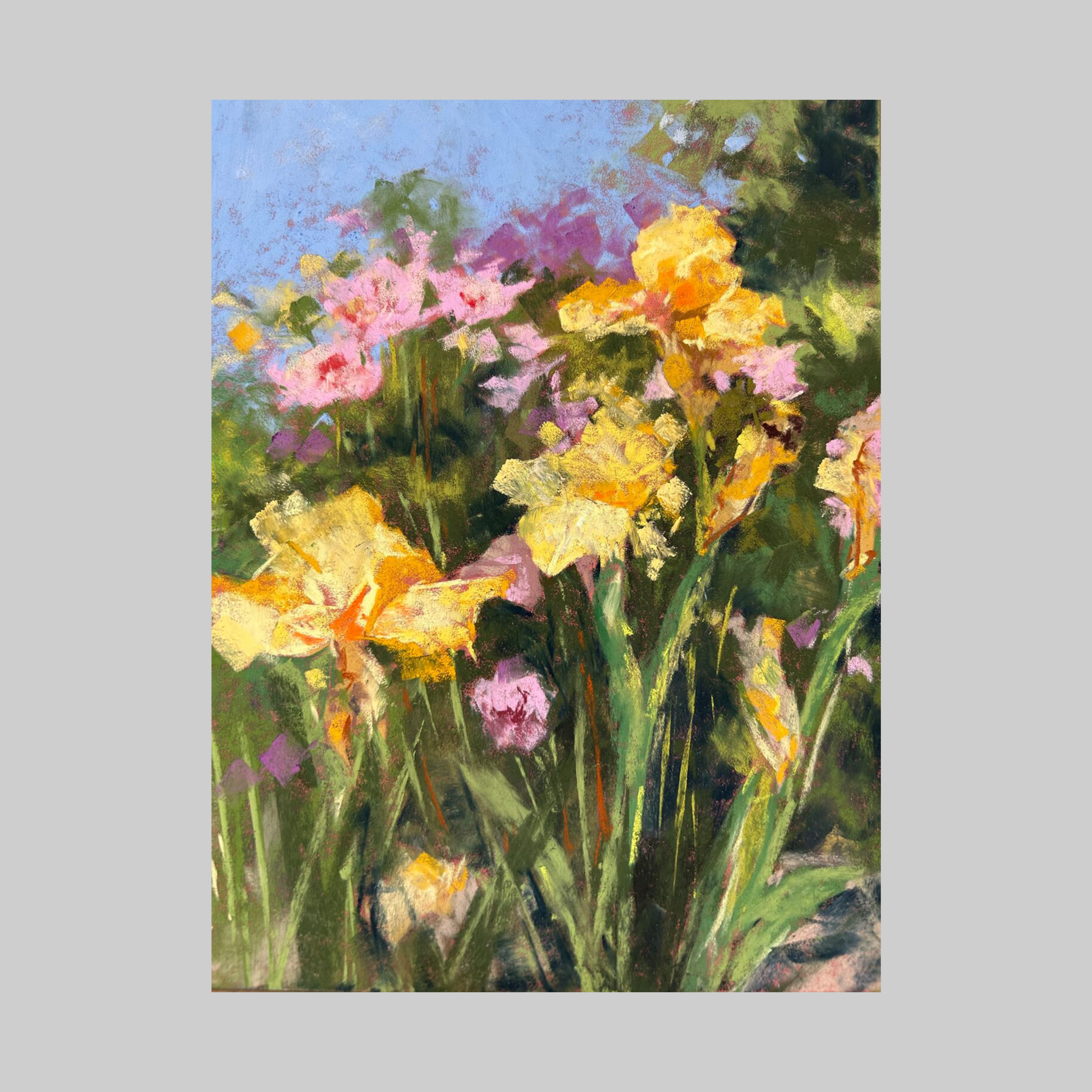 Radiant - VEFA Gallery