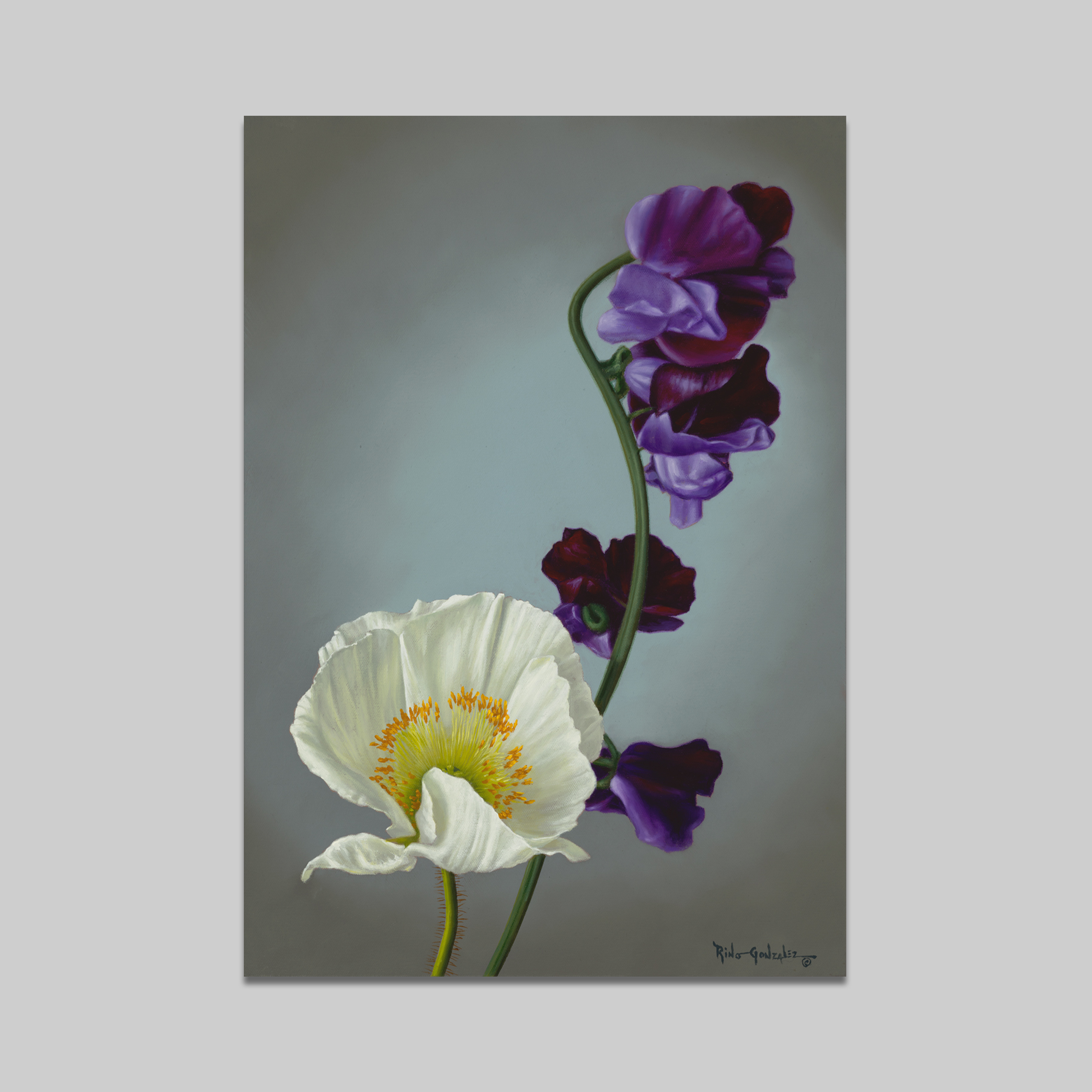 In voller Blüte