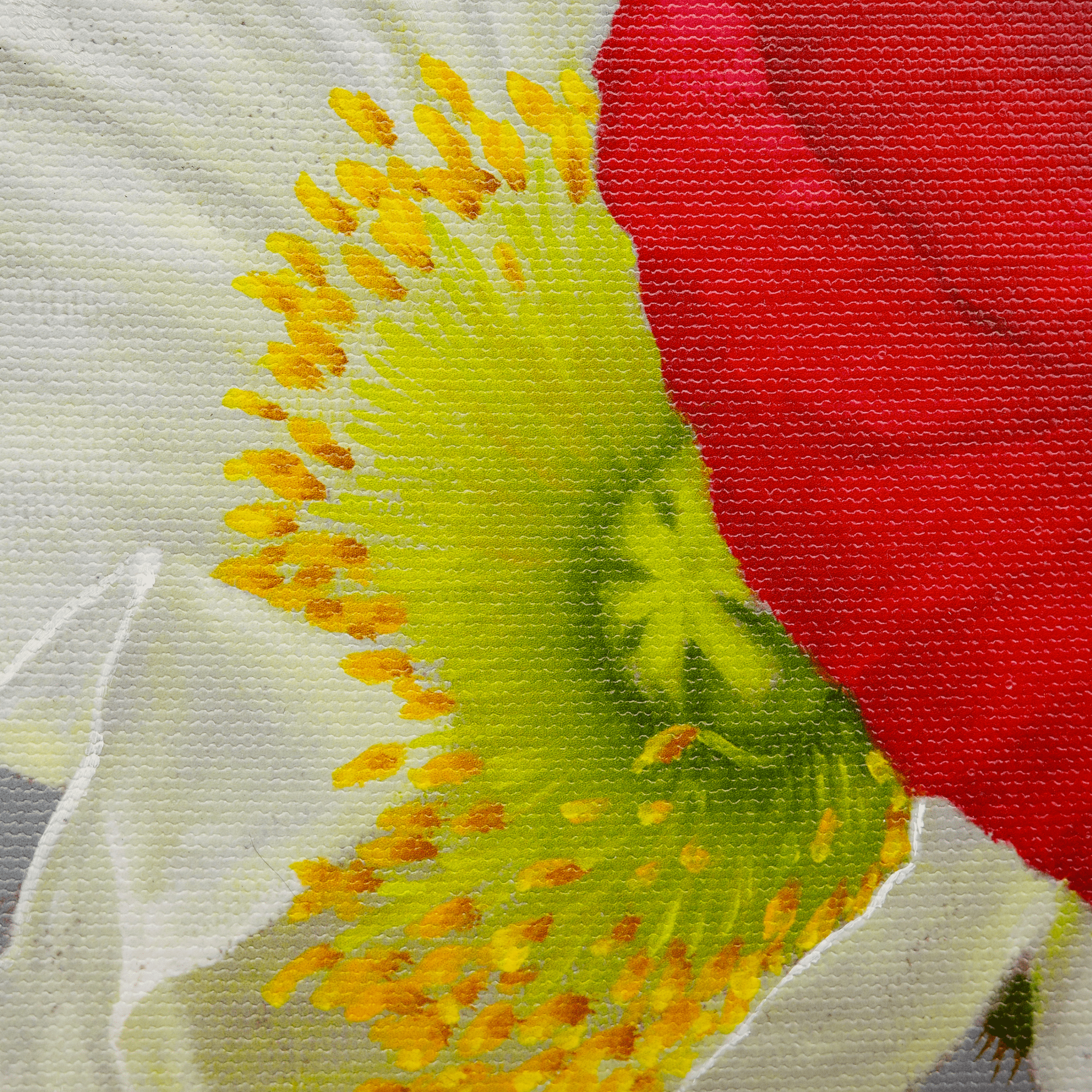 Ethereal Beauty - VEFA Gallery