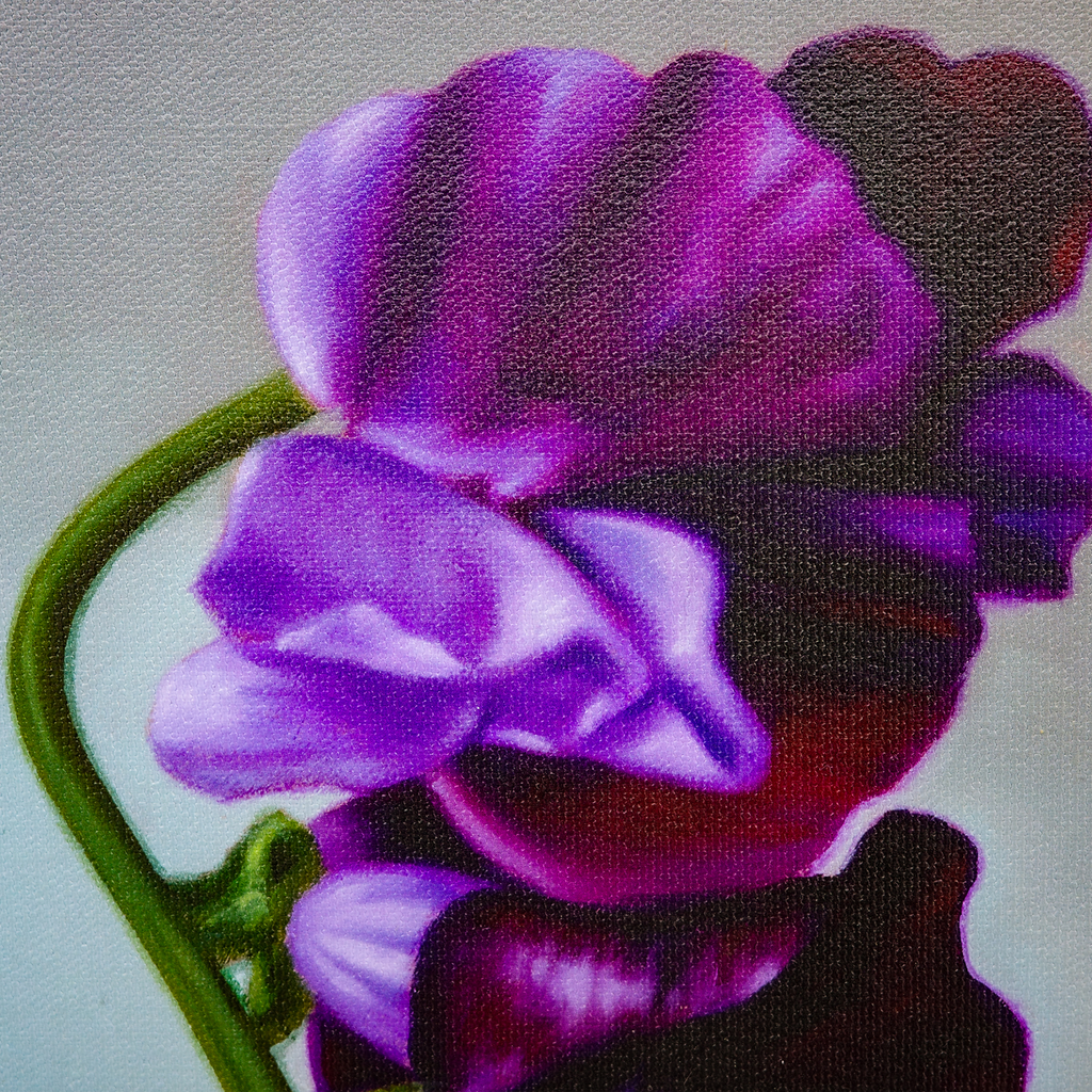 In Full Bloom - VEFA Gallery