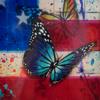 Multi Risky Flag USA - VEFA Gallery