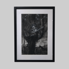 Sonoran Songbird - VEFA Gallery
