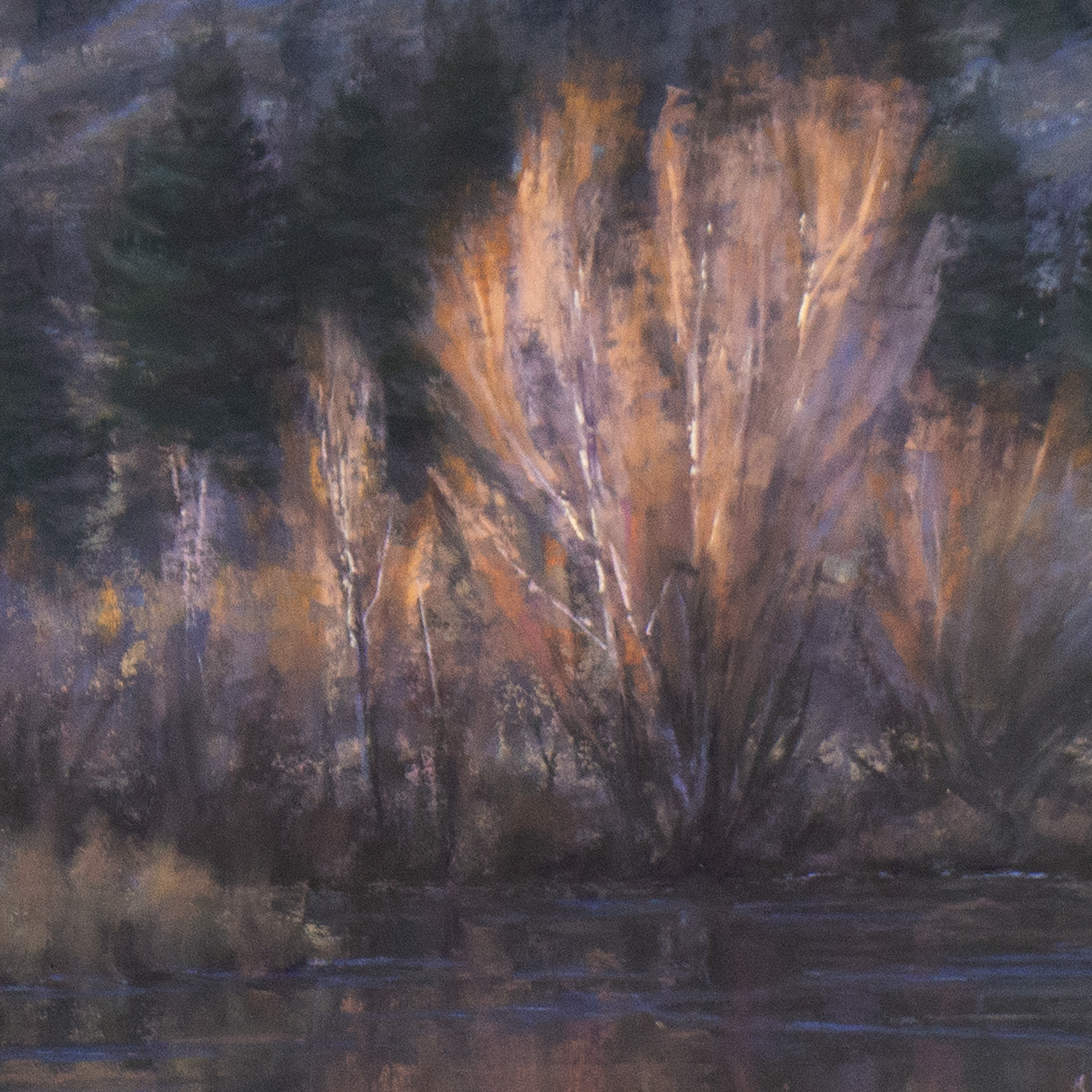 The Last Light At the Pond