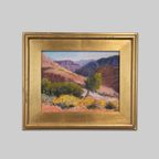 Grand Canyon in Bloom
